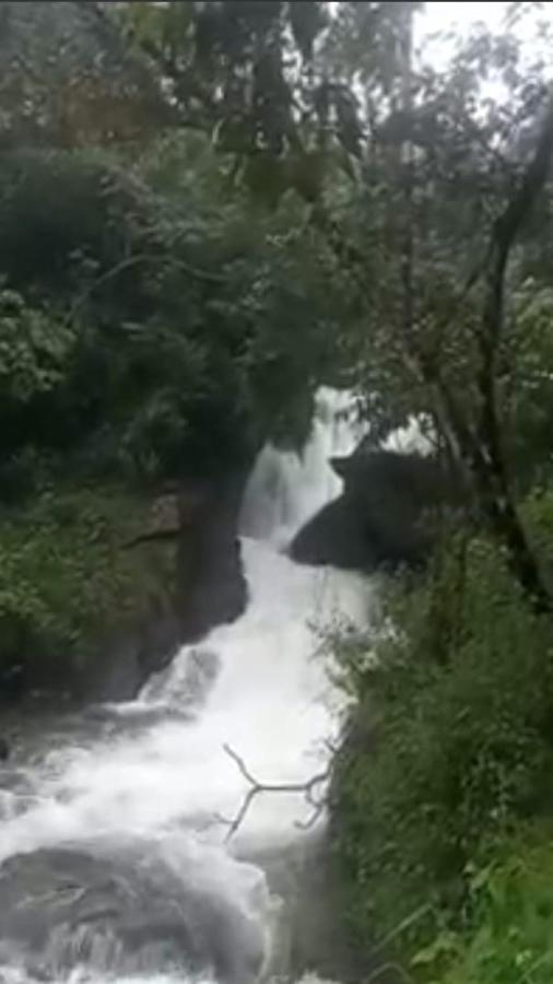 Spathodea Vagamon Bagian luar foto