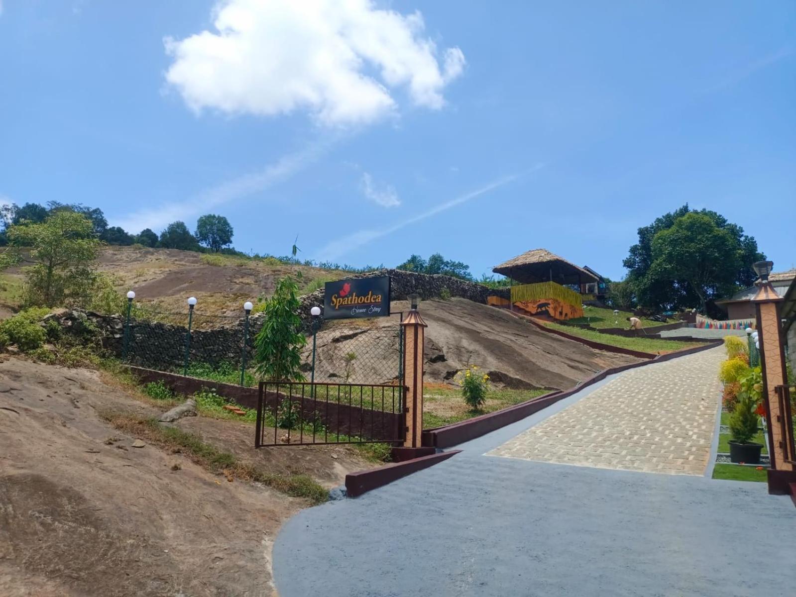 Spathodea Vagamon Bagian luar foto