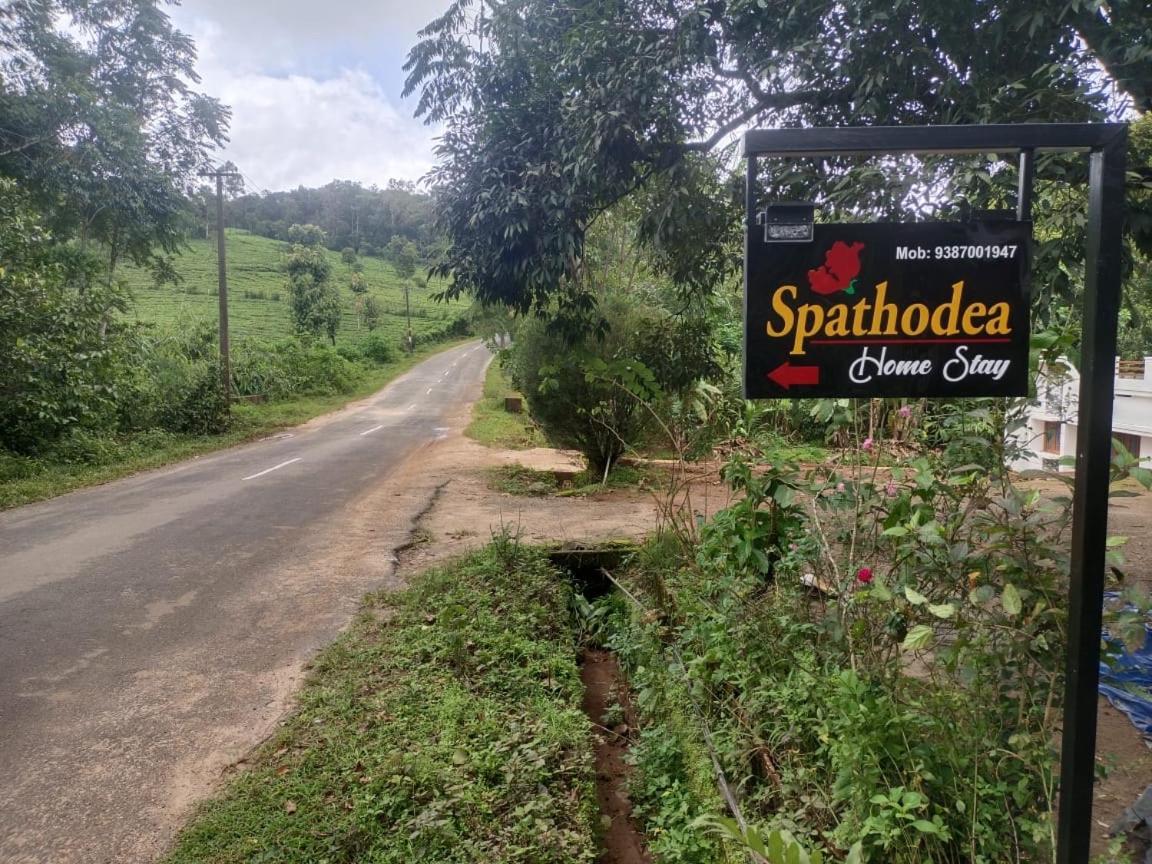Spathodea Vagamon Bagian luar foto